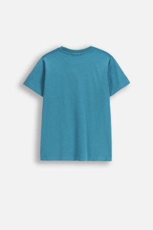 COCCODRILLO lühikeste varrukatega t-särk, sinised, cm 