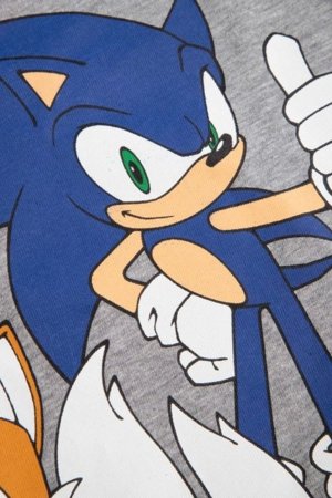 COCCODRILLO lühikeste varrukatega särk LICENCE BOY, hall, WC5143211LBD-019-122, 122 cm 