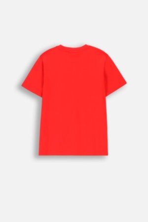 COCCODRILLO t-shirt EVERYDAY BOY A, punased, ZC4143206VBA-009-152, 152 cm 