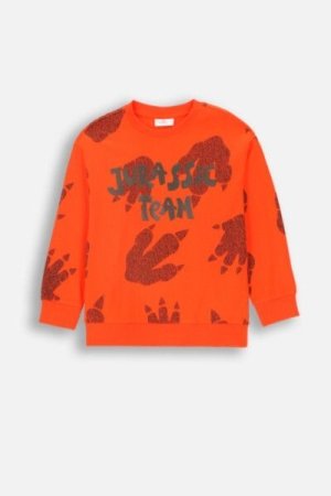 COCCODRILLO t-shirt DIGITAL BOY KIDS, punased, ZC4143102DBK-009-122, 122 cm 