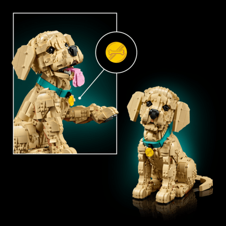 11384 LEGO® Icons Kuldse retriiveri kutsikas 