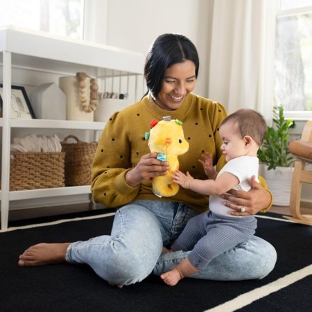 BABY EINSTEIN rahustav pehme mänguasi Seahorse Soother, kollane, 17400-000 