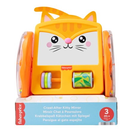 FISHER-PRICE veerev kassipoja peegel, JLF98 