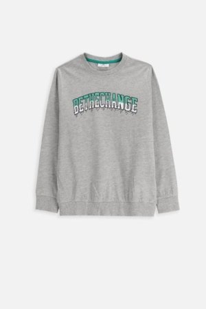 COCCODRILLO t-särgid EVERYDAY BOY A, hall, cm 