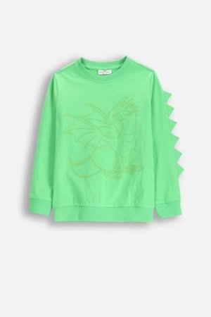 COCCODRILLO pikkade varrukatega särk DRAGONS BOY KIDS, roheline, WC5143102DBK-011-122, 122 cm 