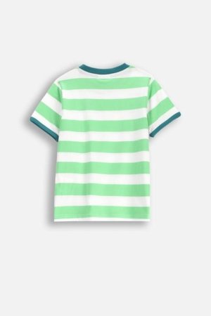 COCCODRILLO lühikeste varrukatega särk DRAGONS BOY KIDS, värv, WC5143205DBK-022-122, 122 cm 