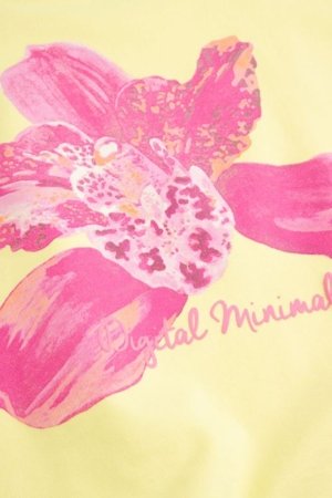 COCCODRILLO pusa, kollane, suurus 