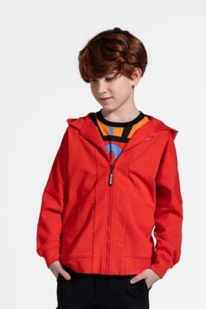 COCCODRILLO kapuutsiga kampsun DRAGONS BOY JUNIOR, punane, WC5132402DBJ-009-164, 164 cm 