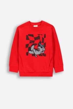 COCCODRILLO jumper ACADEMY BOY KIDS, punane, ZC4132101ABK-009-092, 92 cm 
