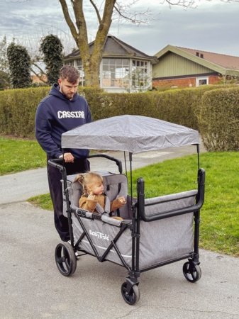 BABYTROLD käru FUN, Grey, 13-04G 