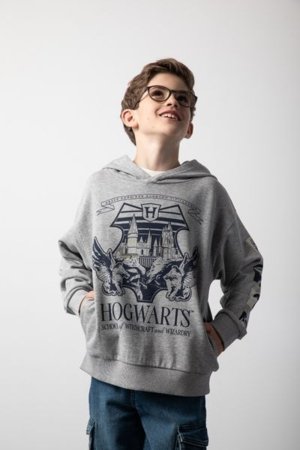 COCCODRILLO hüppaja LICENCE BOY WARNER BROS, hall, cm