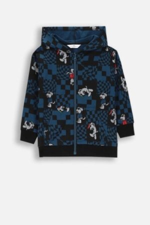 COCCODRILLO hooded pullover with zipper ACADEMY BOY KIDS, värviline, ZC4132401ABK-022-092, 92 cm 