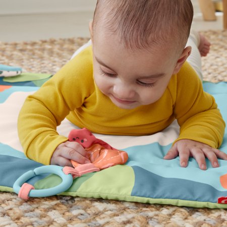 FISHER PRICE Roly-Poly Panda mängumatt, HKD65 