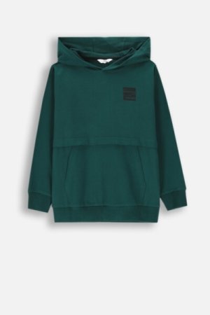 COCCODRILLO hoodie EVERYDAY BOY A, roheline, ZC4132301VBA-011-152, 152 cm 