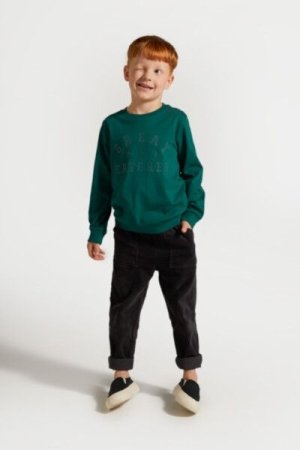 COCCODRILLO long sleeved t-shirt ACADEMY BOY KIDS, rohelised, ZC4143103ABK-011-122, 122 cm 