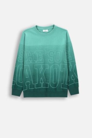 COCCODRILLO t-shirt ACADEMY BOY JUNIOR, multicoloured, ZC4143103ABJ-022-164, 164 cm 
