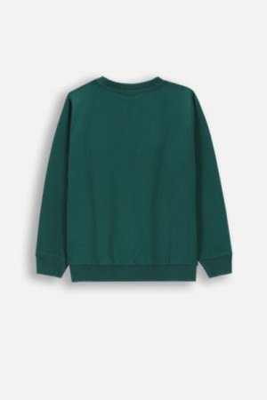 COCCODRILLO long sleeved t-shirt ACADEMY BOY KIDS, rohelised, ZC4143103ABK-011-122, 122 cm 