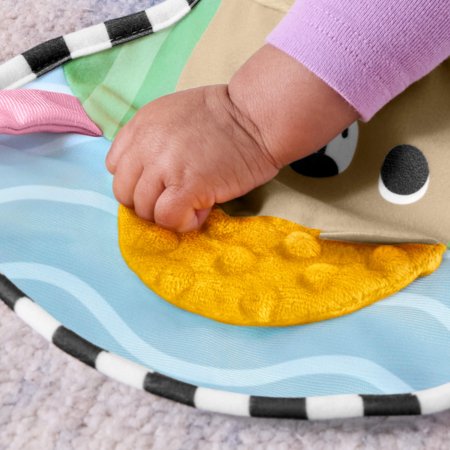 FISHER-PRICE kõhuli mängimise padi, JHB44 