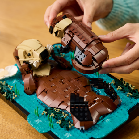 21366 LEGO® Ideas ujuvad merisaarmad 