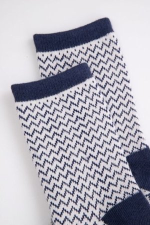 COCCODRILLO sokid SOCKS BOY, värviline, 