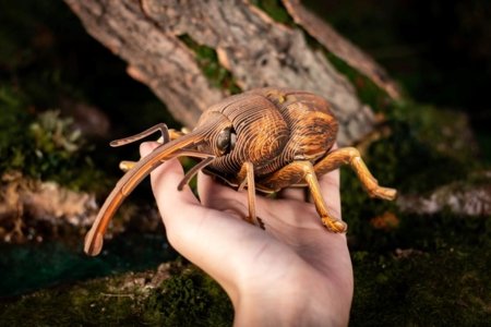 MAKEBUG 3D paberist pusle Weevil, MB-B-0004 