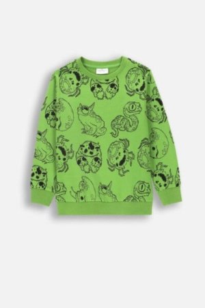 COCCODRILLO sweatshirt GRUNGE SWAMP BOY KIDS, roheline, ZC4132101GBK-011-122, 122 cm 