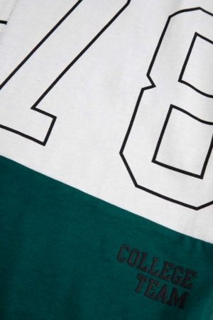 COCCODRILLO t-särk ACADEMY BOY JUNIOR, värv, cm 