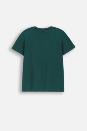 COCCODRILLO short sleeved t-shirt EVERYDAY BOY A, rohelised, ZC4143205VBA-011-152, 152 cm 