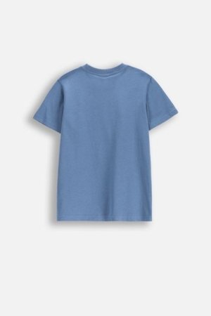 COCCODRILLO lühikeste varrukatega särk EVERYDAY BOY C, sinine, WC5143202VBC-014-164, 164 cm 