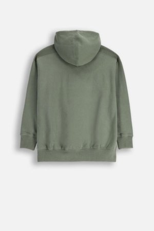 COCCODRILLO pusa, roheline, cm 