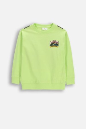 COCCODRILLO pikkade varrukatega t-särk, rohelised, 