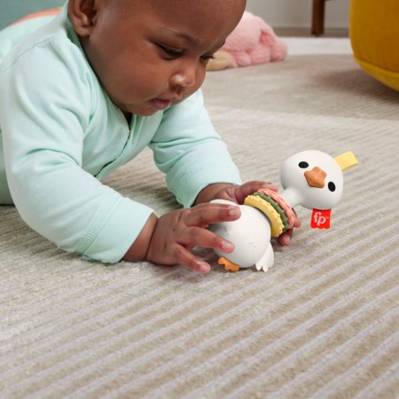 FISHER PRICE Sensimals sensoorne mänguasi, asst HRB19 