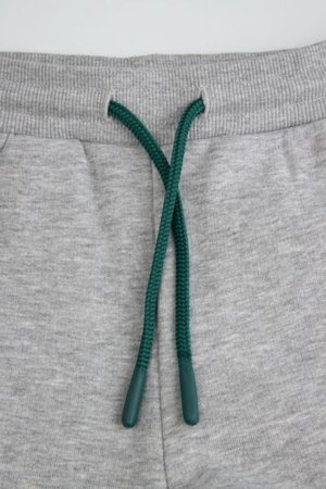 COCCODRILLO püksid ACADEMY BOY KIDS, hall, cm 