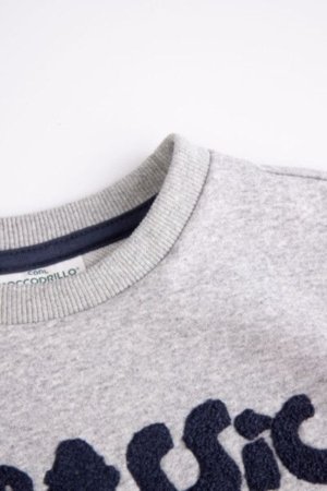COCCODRILLO sweatshirt DIGITAL BOY KIDS, hall, ZC4132101DBK-019-122, 122 cm 