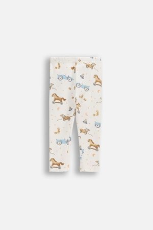 COCCODRILLO retuusid, kreemikat, WC6122101MBN-003-086, 86 suurus 