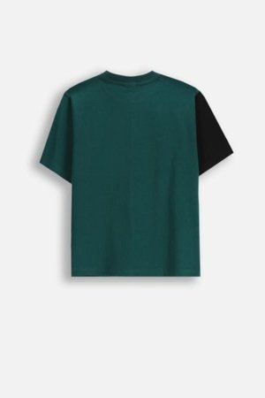 COCCODRILLO t-särk ACADEMY BOY JUNIOR, värv, cm 
