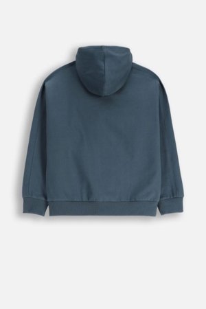 COCCODRILLO pusa, hall, cm 