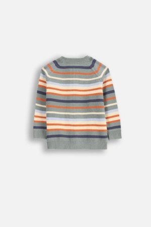 COCCODRILLO nööpidega kampsun SAGE TIME BOY NEWBORN, värv, WC5172201SBN-022-086, 86 cm 