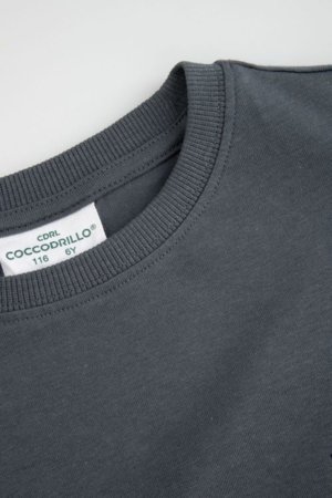 COCCODRILLO pikkade varrukatega t-särk, hallid, cm 