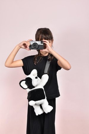 DOUDOU ET COMPAGNIE pehme mänguasi koer 36cm., DC4564 