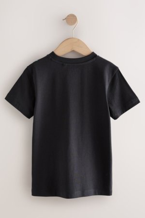 NEXT t-särk, F23977, 110 cm 