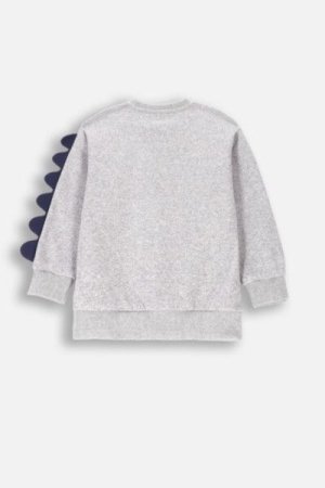 COCCODRILLO sweatshirt DIGITAL BOY KIDS, hall, ZC4132101DBK-019-122, 122 cm 