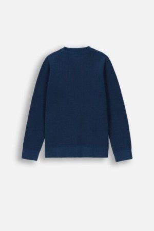 COCCODRILLO sweater ACADEMY BOY JUNIOR, sinine, ZC4172103ABJ-014-164, 164 cm 