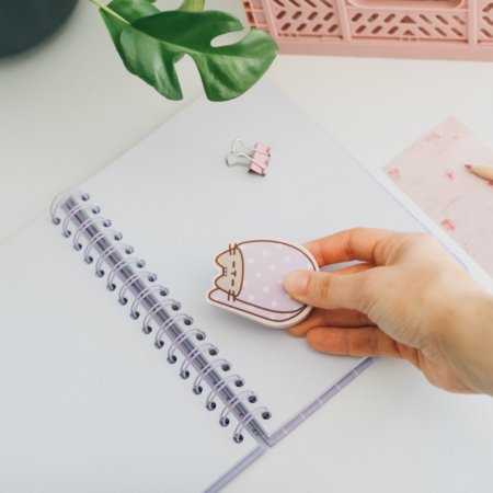PUSHEEN MOMENTS jumbo kustutuskummide komplekt, 2 tk, GOM067 