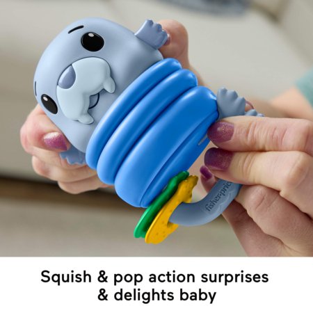 FISHER-PRICE kõristi – närimislelu 2 ühes, JHB54 