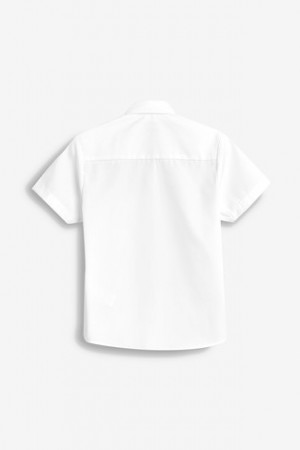 NEXT lühikeste varrukatega pluusid 2tk. 685591 68559108