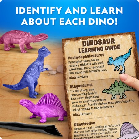 NATIONAL GEOGRAPHIC komplekt Dinosaur Excavation, CRNGDINOPDQINT 