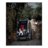 BABYTROLD käru ROADRUNNER 3in1,  Black/Grey, 14-08S 