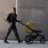 THULE URBAN GLIDE 3 jalutuskäru, Nutria green, 10101974  