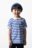 COCCODRILLO t-särk ACADEMY BOY KIDS, sinine, ZC5143601ABK-032-110, 110 cm 